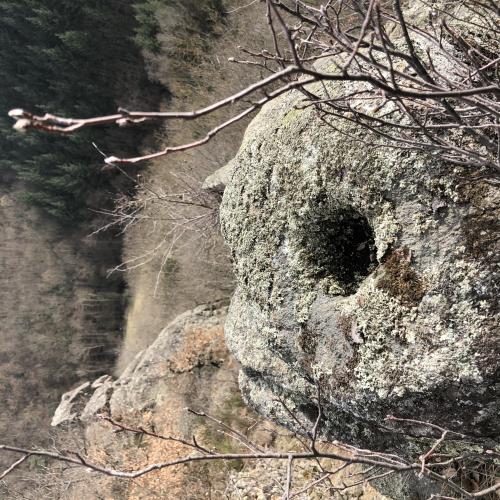 Tour de Rognon [19-03-2022](IMG_4542).jpg